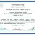 Ampliar imagem: certificate 1