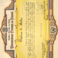 Ampliar imagem: certificate 5