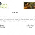 Ampliar imagem: certificate 6