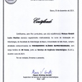 Ampliar imagem: certificate 10