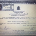 Ampliar imagem: certificate 5