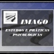 Imago - Estudos E Práticas Psicológicas