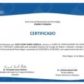 Ampliar imagem: certificate 1
