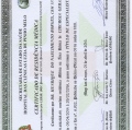 Ampliar imagem: certificate 2
