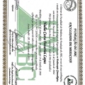 Ampliar imagem: certificate 2