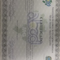 Ampliar imagem: certificate 2