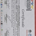 Ampliar imagem: certificate 3