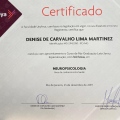 Ampliar imagem: certificate 5