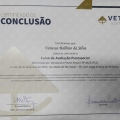 Ampliar imagem: certificate 2