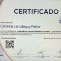 Ampliar imagem: certificate 4