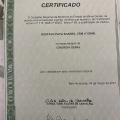 Ampliar imagem: certificate 5