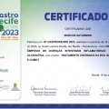 Ampliar imagem: certificate 12