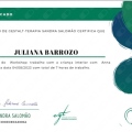 Ampliar imagem: certificate 2