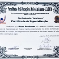 Ampliar imagem: certificate 13