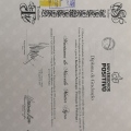 Ampliar imagem: certificate 2