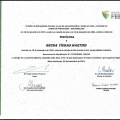 Ampliar imagem: certificate 5