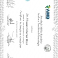 Ampliar imagem: certificate 7
