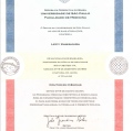 Ampliar imagem: certificate 3