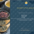 Ampliar imagem: certificate 3