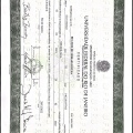 Ampliar imagem: certificate 1