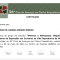 Ampliar imagem: certificate 17