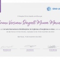 Ampliar imagem: certificate 10