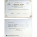 Ampliar imagem: certificate 8