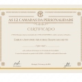 Ampliar imagem: certificate 4