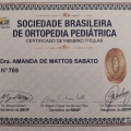 Ampliar imagem: certificate 6