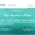 Ampliar imagem: certificate 5