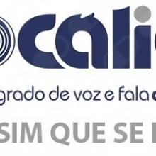 Vocálicálica Núcleo Integrado de Voz E Fala Aline Cabral
