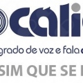 Vocálicálica Núcleo Integrado de Voz E Fala Aline CabralRio de Janeiro - 