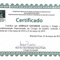 Ampliar imagem: certificate 7