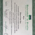 Ampliar imagem: certificate 3