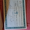 Ampliar imagem: certificate 1