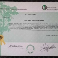 Ampliar imagem: certificate 3