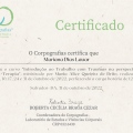 Ampliar imagem: certificate 2