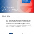 Ampliar imagem: certificate 7