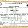 Ampliar imagem: certificate 2
