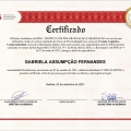 Ampliar imagem: certificate 2