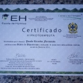 Ampliar imagem: certificate 4