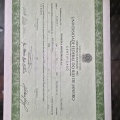 Ampliar imagem: certificate 4