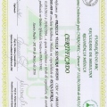 Ampliar imagem: certificate 1