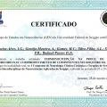 Ampliar imagem: certificate 4