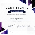 Ampliar imagem: certificate 3
