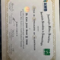 Ampliar imagem: certificate 3