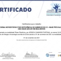 Ampliar imagem: certificate 13