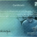 Ampliar imagem: certificate 3