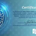 Ampliar imagem: certificate 9