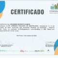 Ampliar imagem: certificate 9